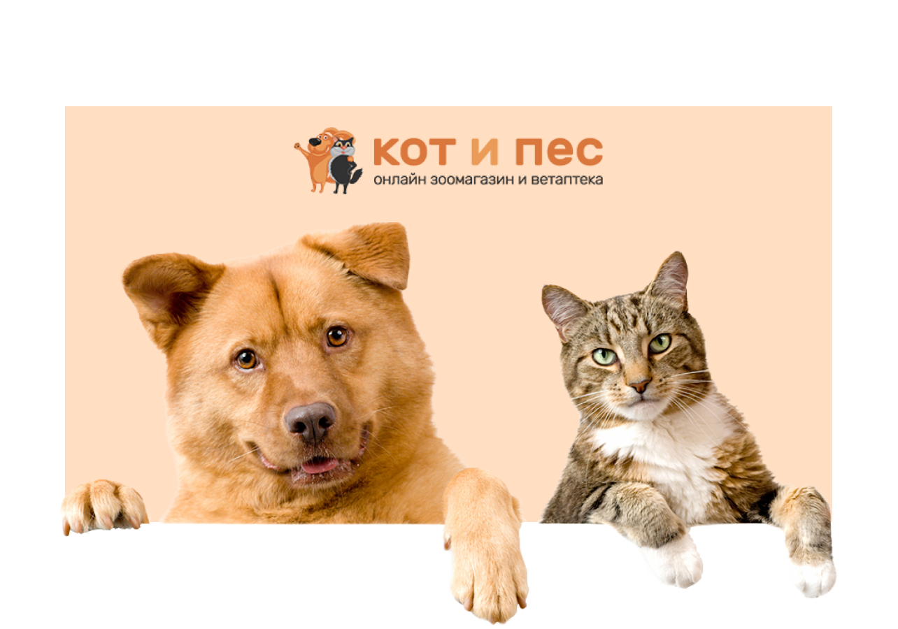 Кот и пёс, Интернет-магазин Студия Вегас