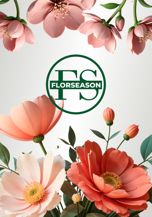 Florseason, Интернет-магазин Студия Вегас